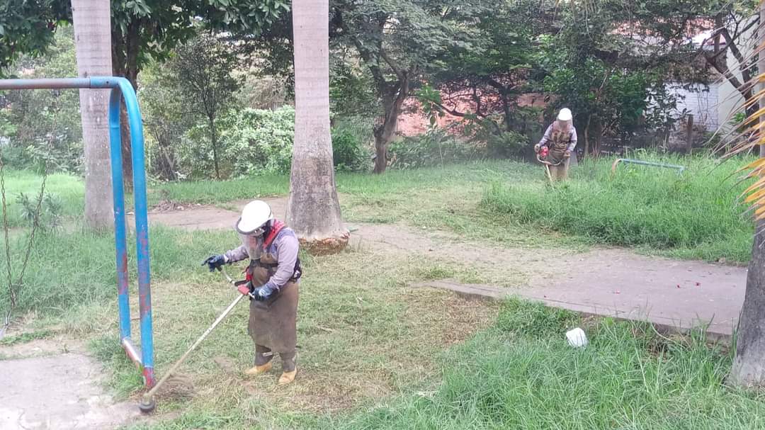 mantenimiento-a-zonas-verdes