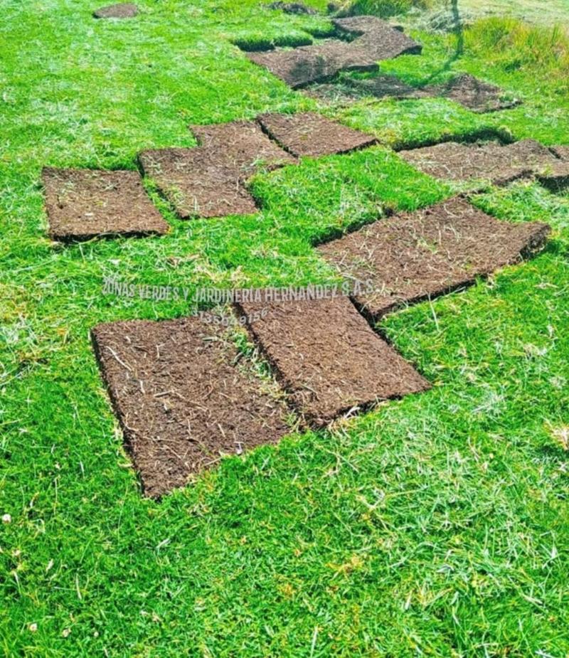 transforma-tu-espacio-verde-en-un-paraiso-terrenal-en-bogota