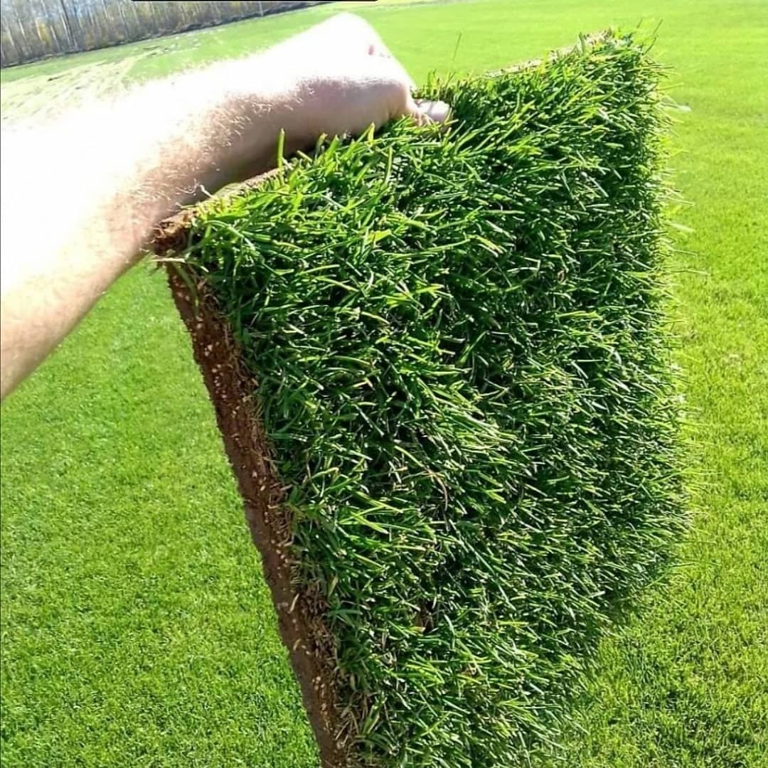 transforma-tu-espacio-externo-en-un-paraiso-verde