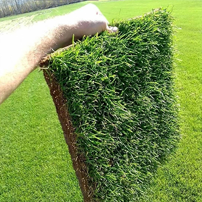 servicios-zonas-verdes-hernandez